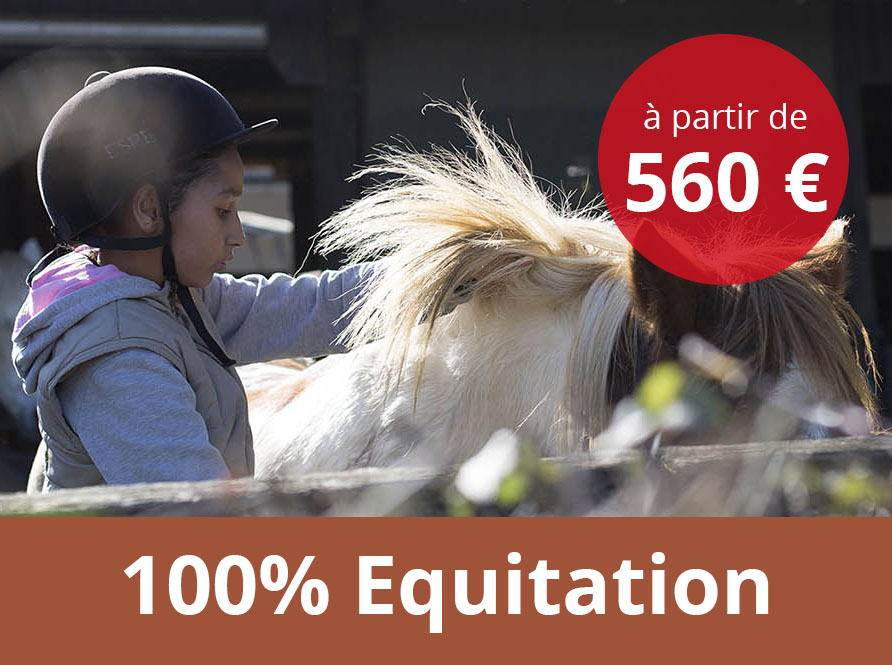 100% Equitation