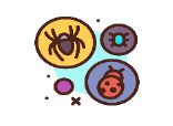 Atelier rôle des insectes
