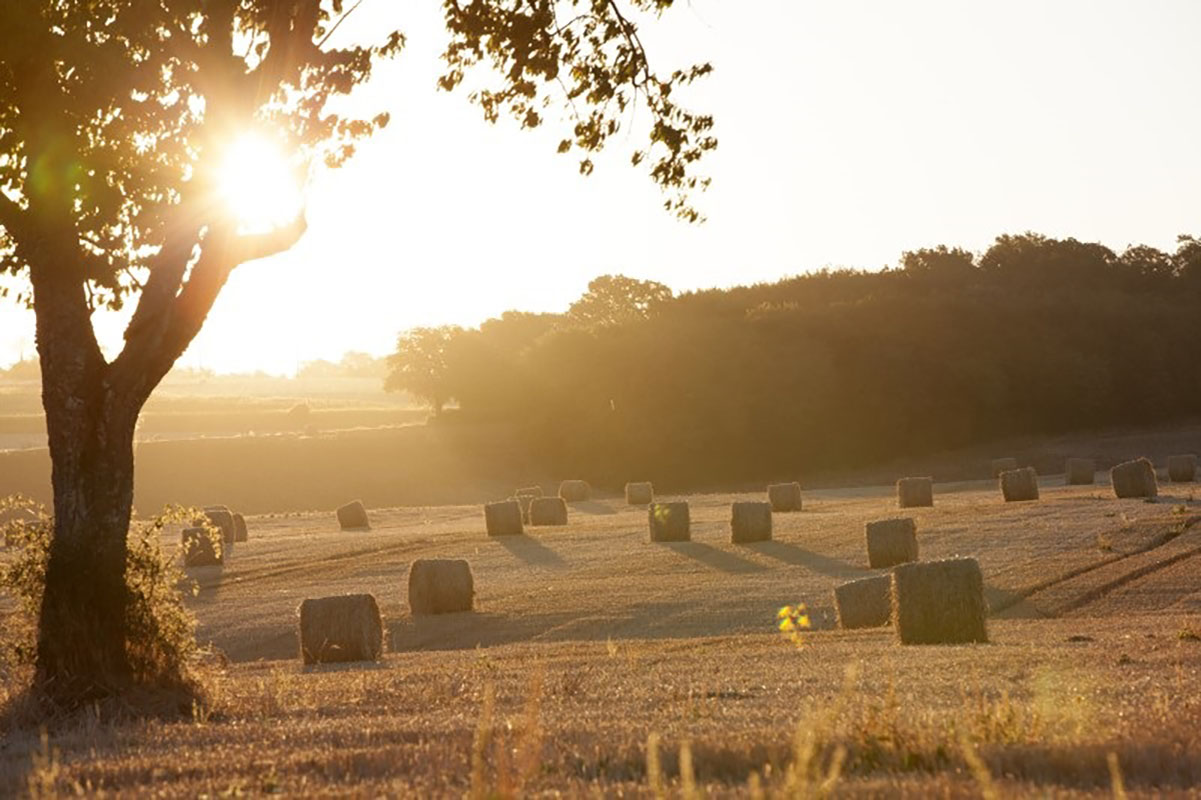 Lodge – Poney-Club – Domaine de l’Espérance – Bourgogne – 04