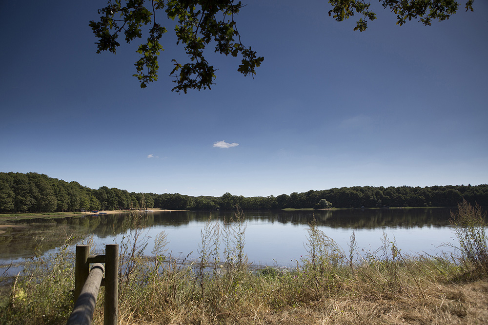 Randonnée équestre adulte Equit-Evasion – Séjour équestre adulte en Bourgogne – Domaine de l’Espérance 01