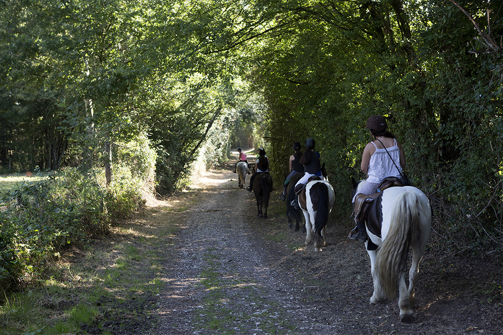 Randonnée équestre adulte Equit-Evasion – Séjour équestre adulte en Bourgogne – Domaine de l’Espérance 03