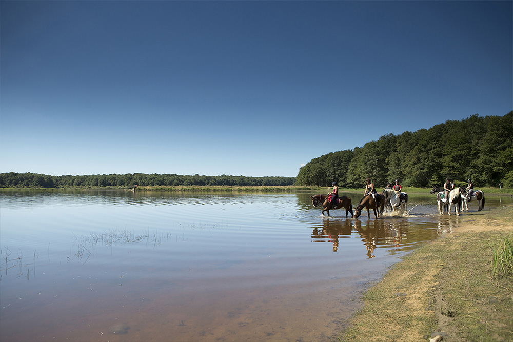 Randonnée équestre adulte Equit-Evasion – Séjour équestre adulte en Bourgogne – Domaine de l’Espérance 08