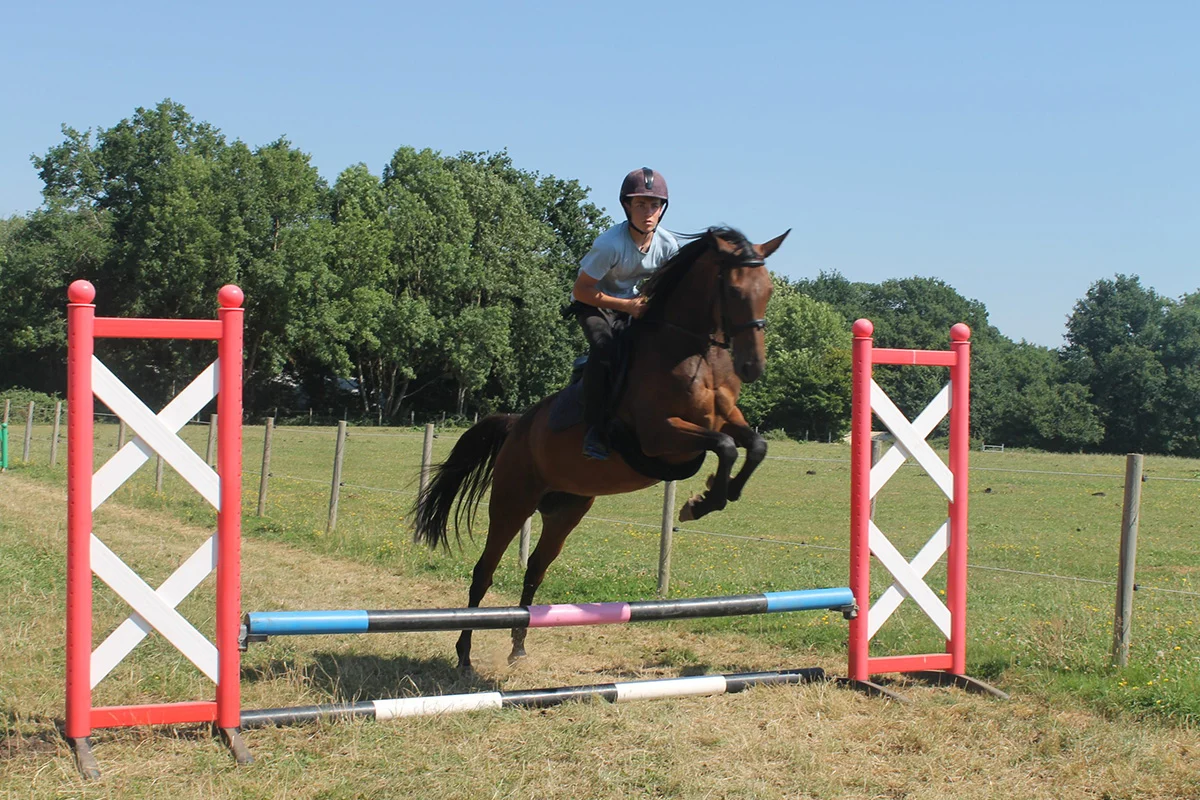Colonie de vacances équitation en Bourgogne pour les jeunes de 8 à 15-ans, saut d'obstacle durant le séjour 100 % Equitation au Poney-Club du Domaine de l'Esperance