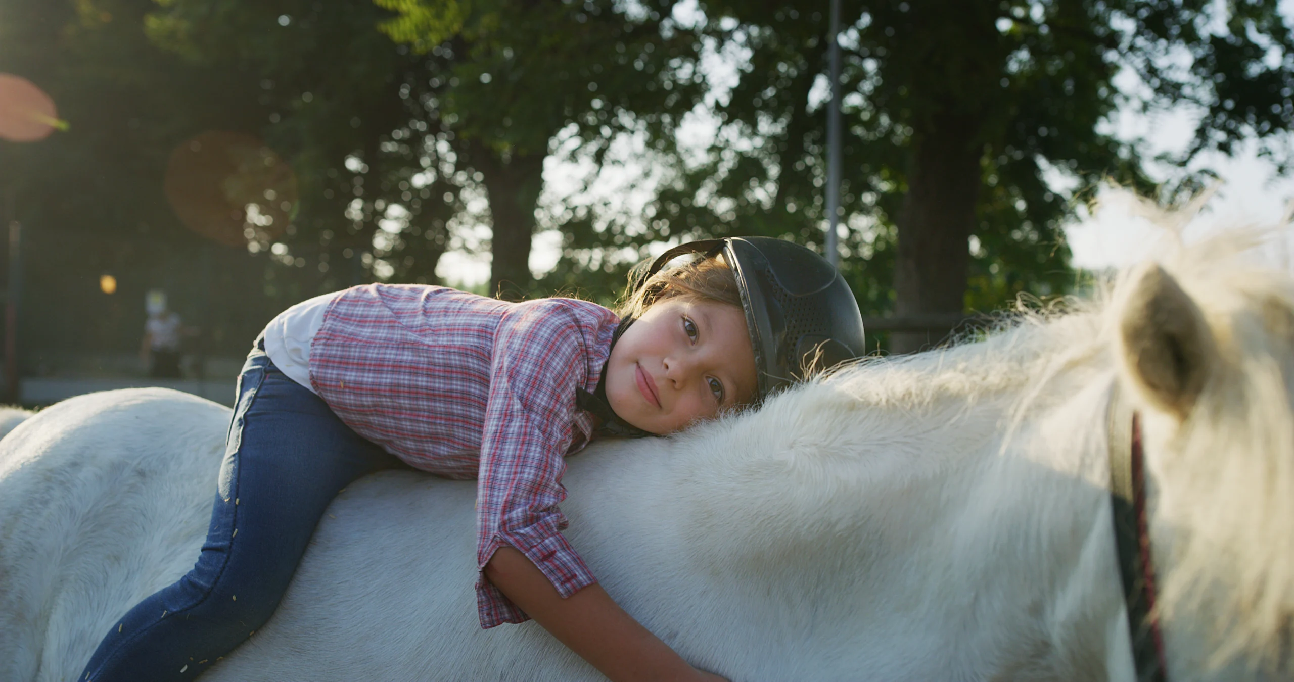 Authentic shot of a cute little girl with a jockey helmet is lying on a white pony horse and caressing her at riding stable with a sunshine.